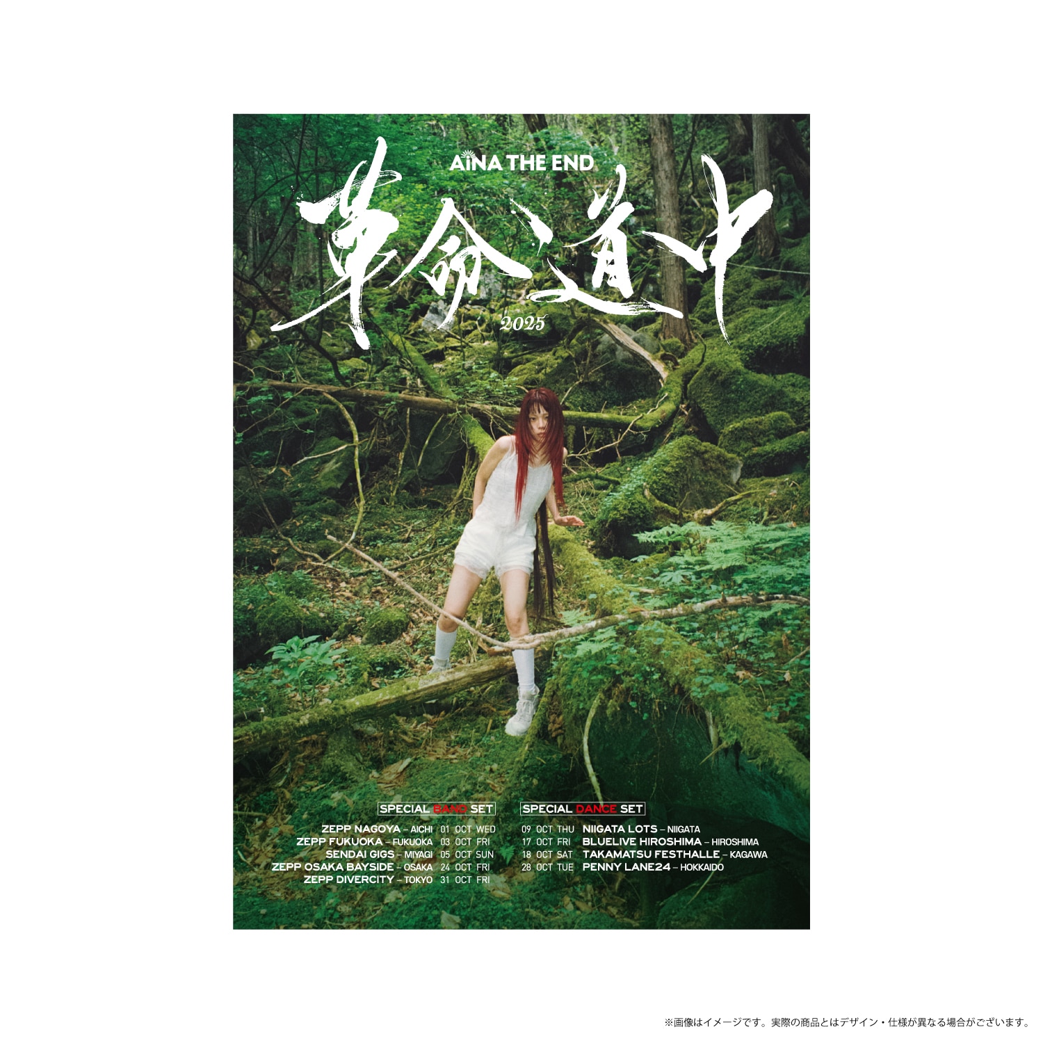 革命道中限定ポスター