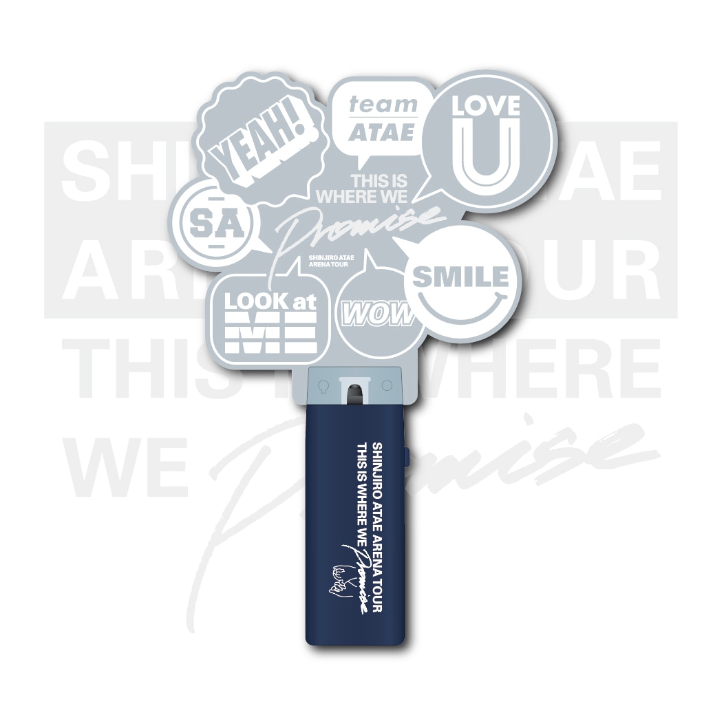 PENLIGHT -THIS IS WHERE WE PROMISE-