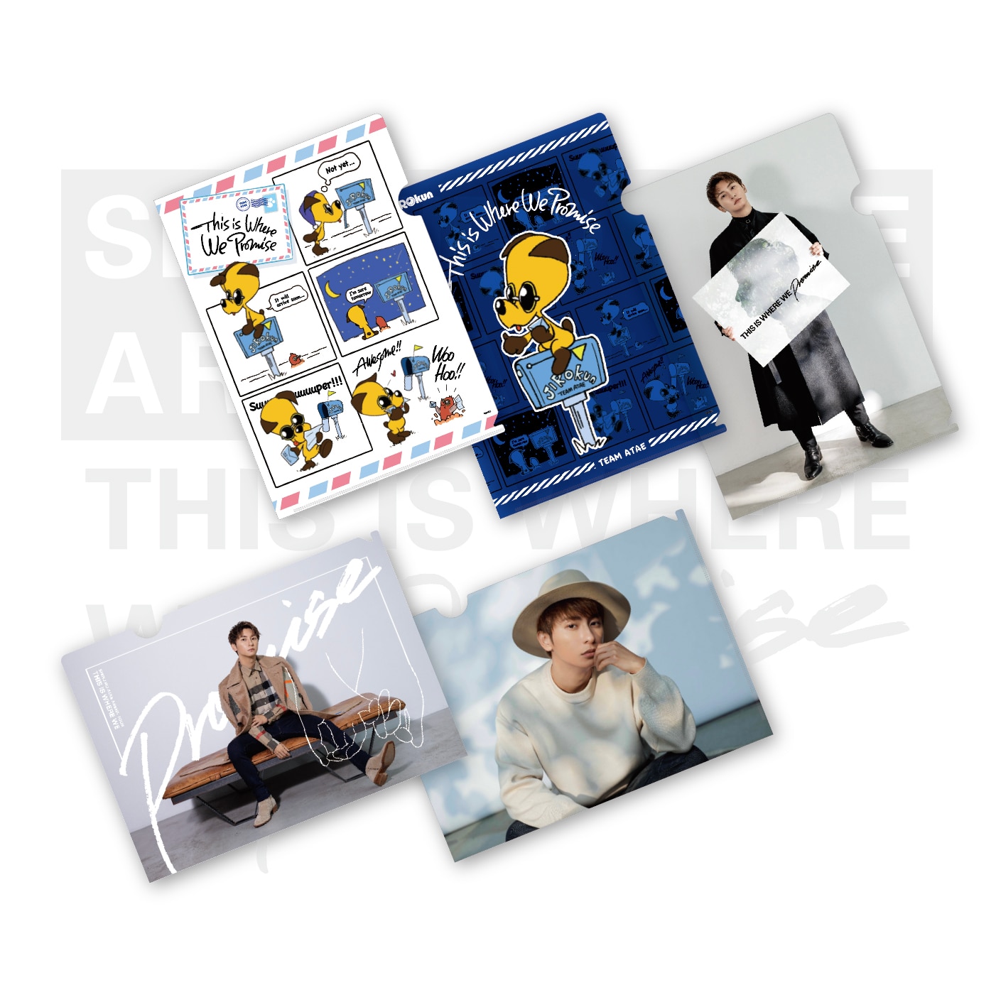 CLEAR FILE FOLDER（RANDOM 5 DESIGNS）