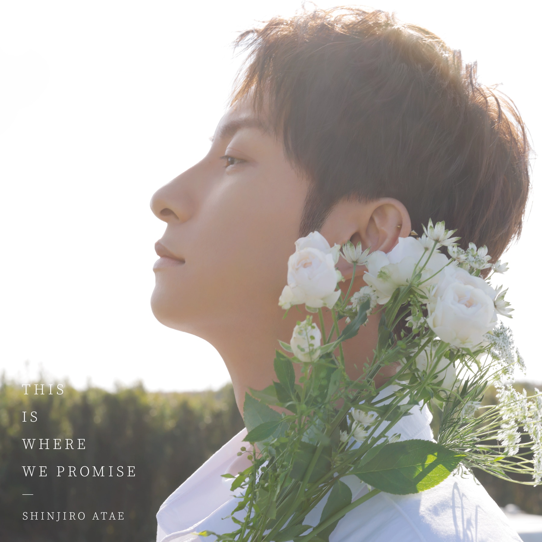 DISC [アーティスト活動休止前の最後のアルバム『THIS IS WHERE WE PROMISE』]｜SHINJIRO ATAE OFFICIAL  WEBSITE