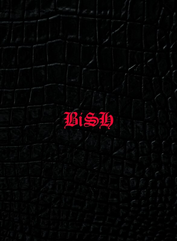 Bish 壁紙 コレクション イメージ ベスト