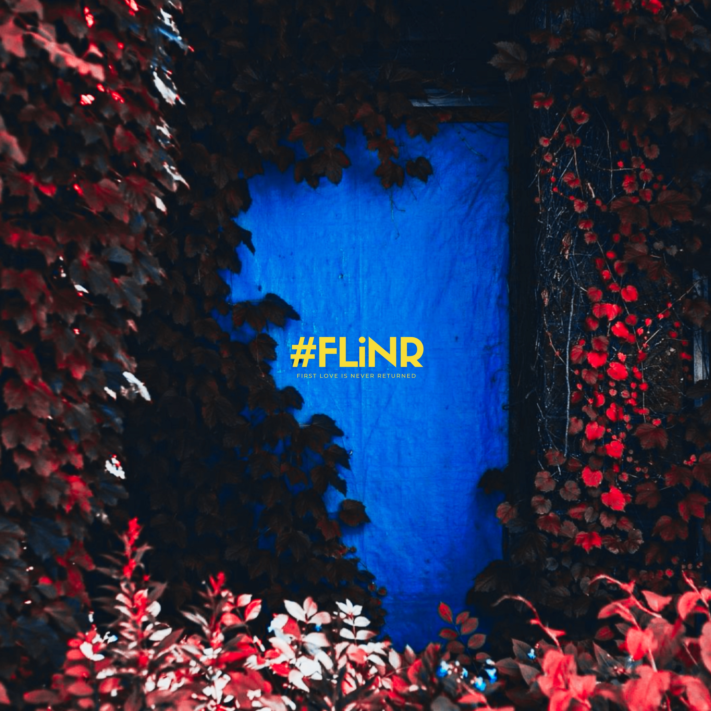 First Love is Never Returned CD セット First Love is Never Returnedの商品｜mu-moショップ