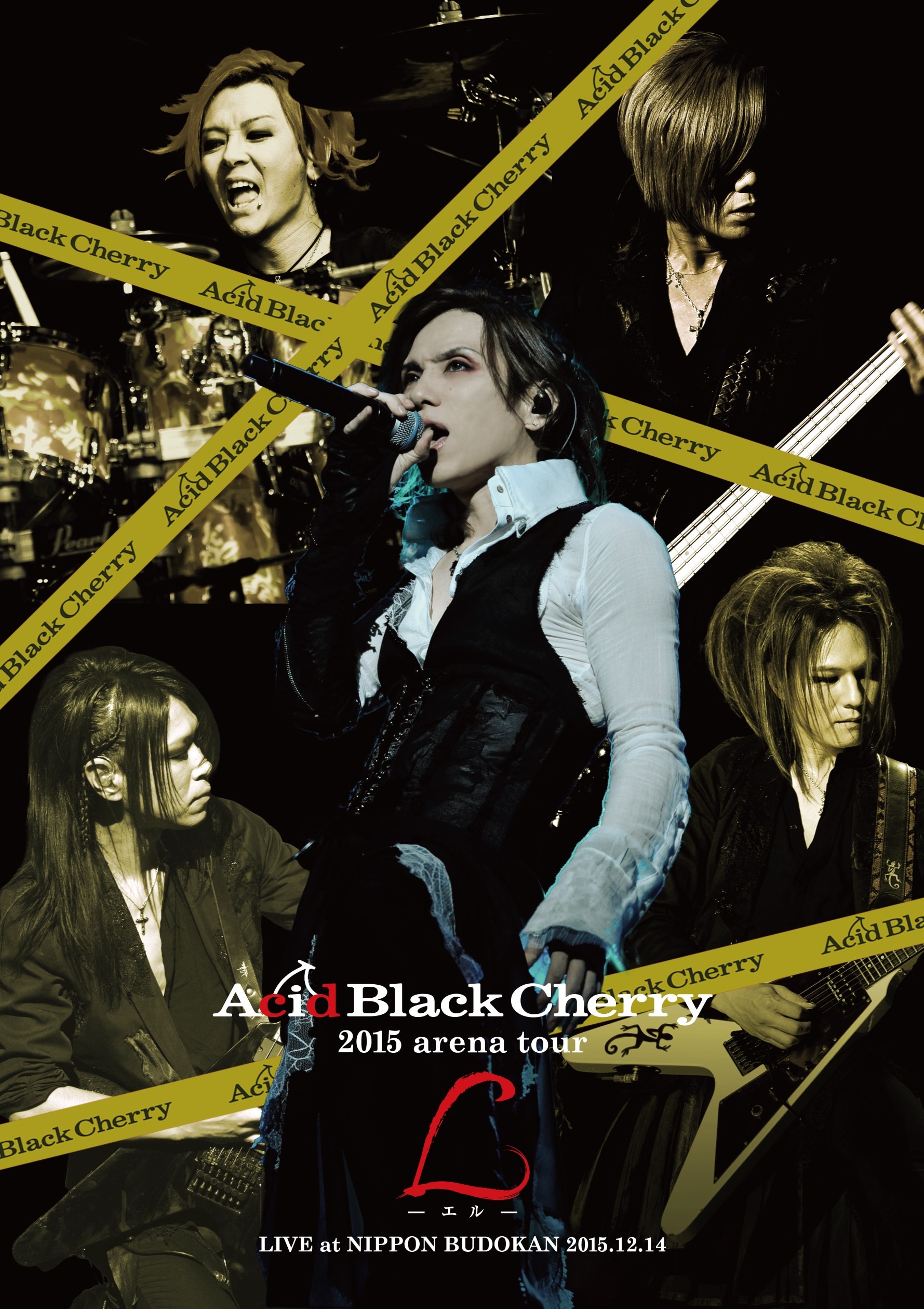 DVD盤