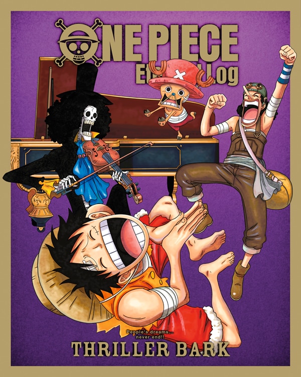 ONE PIECE Eternal Log