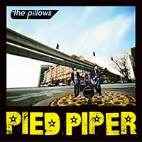PIED PIPER(CD+DVD)