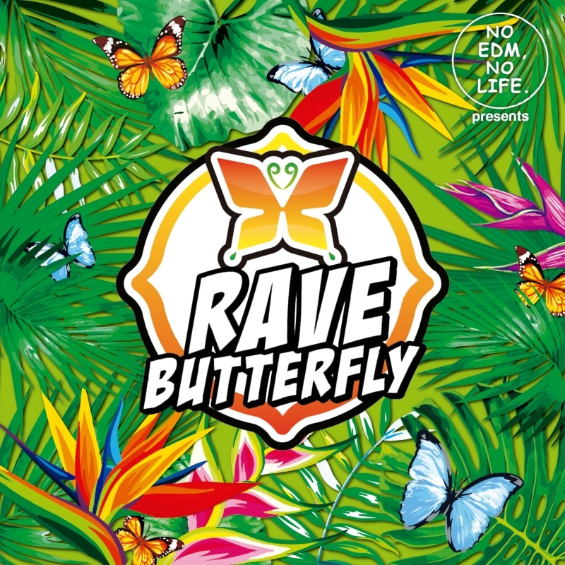 NO EDM, NO LIFE. Presents RAVE BUTTERFLY 