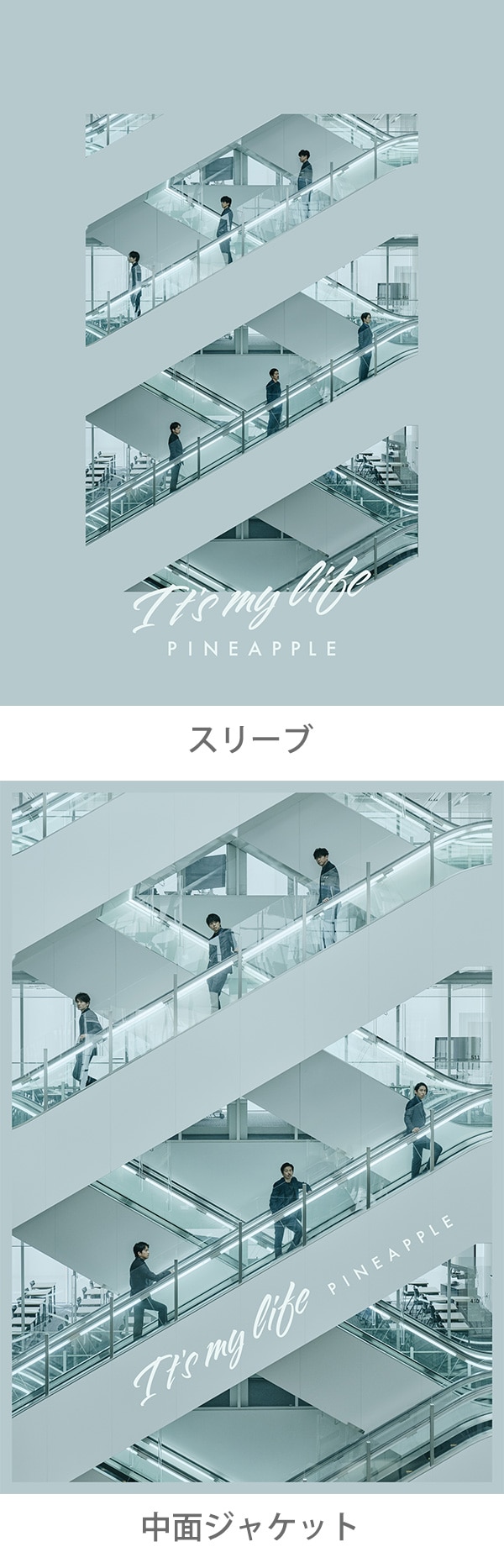 52nd SINGLE 「It's my life / PINEAPPLE 」 - DISCOGRAPHY | V6 