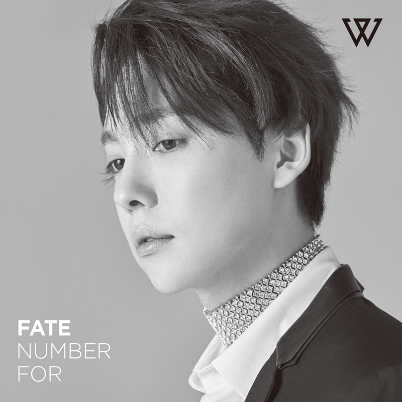 FATE NUMBER FOR[キム・ジヌ Ver.]