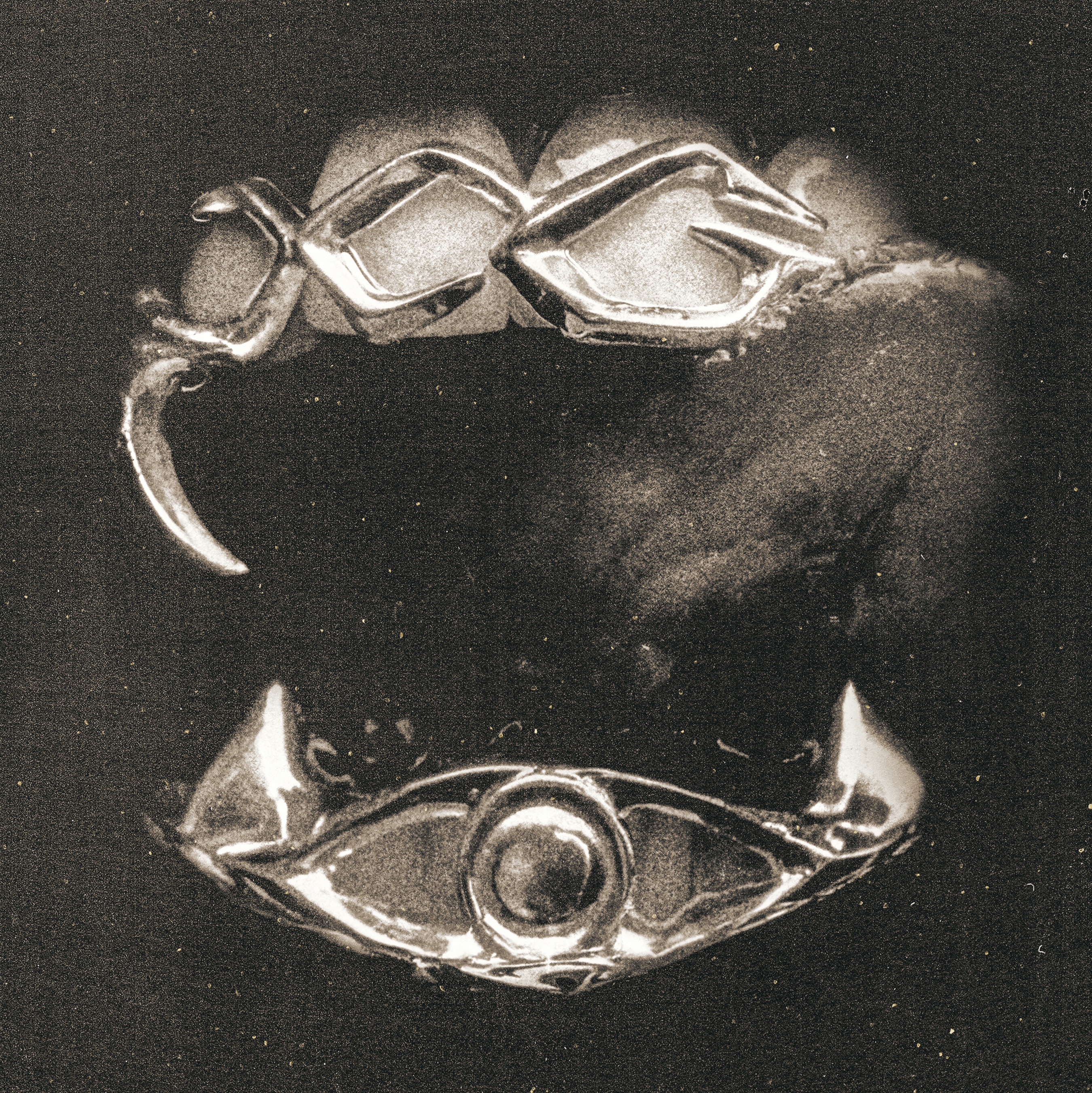 DISCOGRAPHY | XG - Official Site