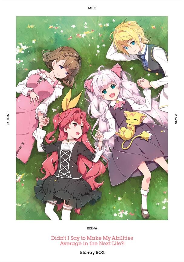 『私、能力は平均値でって言ったよね！』Blu-ray BOX (3枚組Blu-ray)
