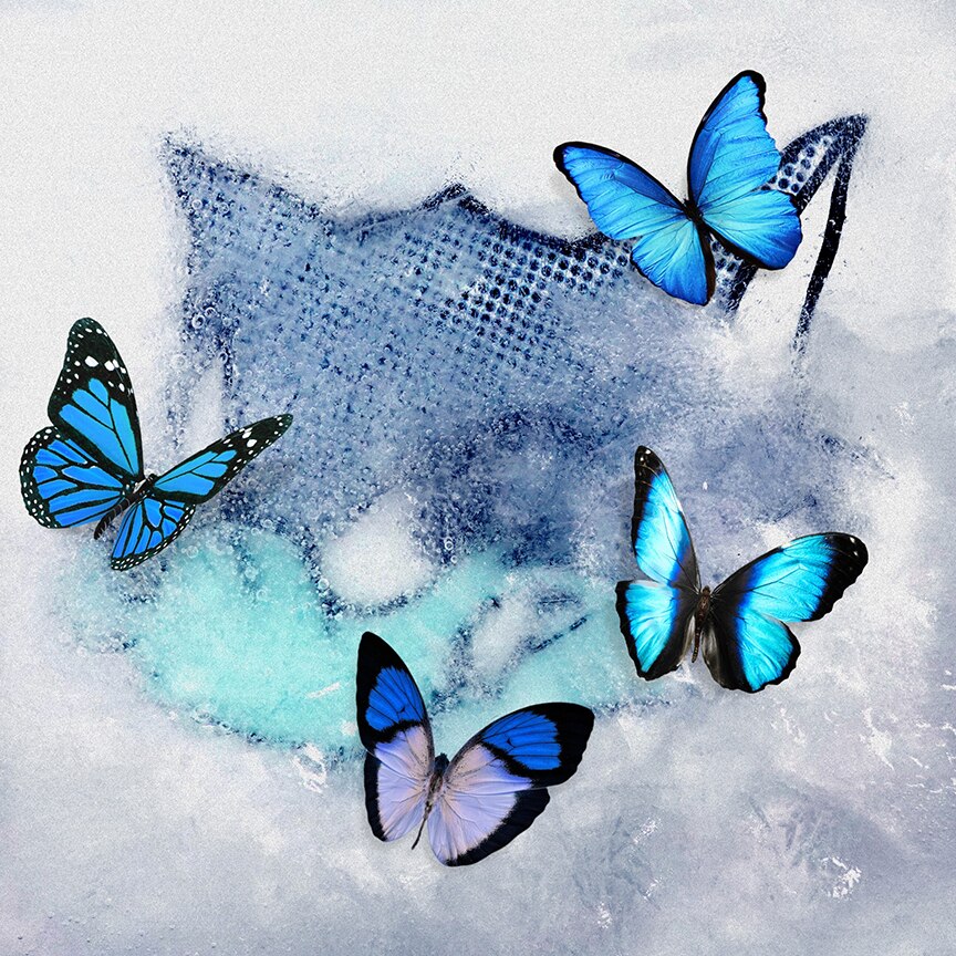 WOLF HOWL HARMONY「Frozen Butterfly」