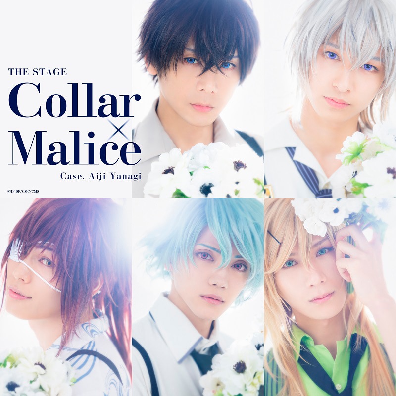 舞台 Collar × Malice 岡崎契編 公演 Blu-ray カラマリ | www
