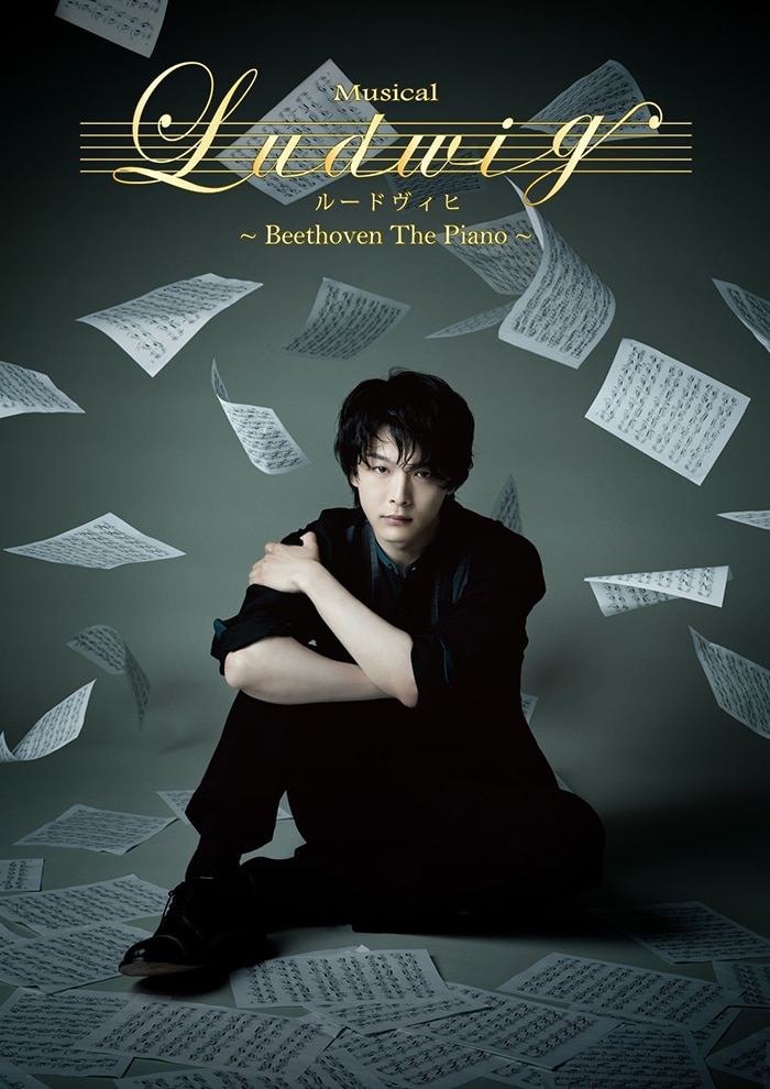 中村倫也　「ルードヴィヒ」 ミュージカル DVD セット 中村倫也主演ミュージカル『ルードヴィヒ～Beethoven The Piano
